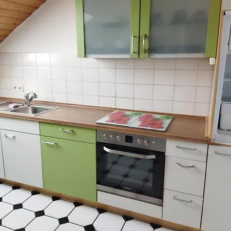 Aussergewoehnliche Atelierferienwohnung Mit Balkon An Der Donau Winzer Exterior photo