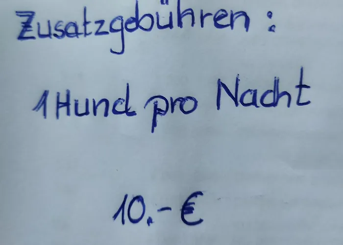 Aussergewoehnliche Atelierferienwohnung Mit Balkon An Der Donau