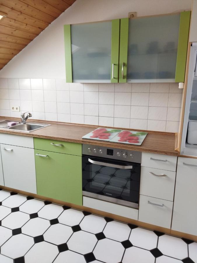 Apartment Aussergewoehnliche Atelierferienwohnung Mit Balkon An Der Donau Winzer