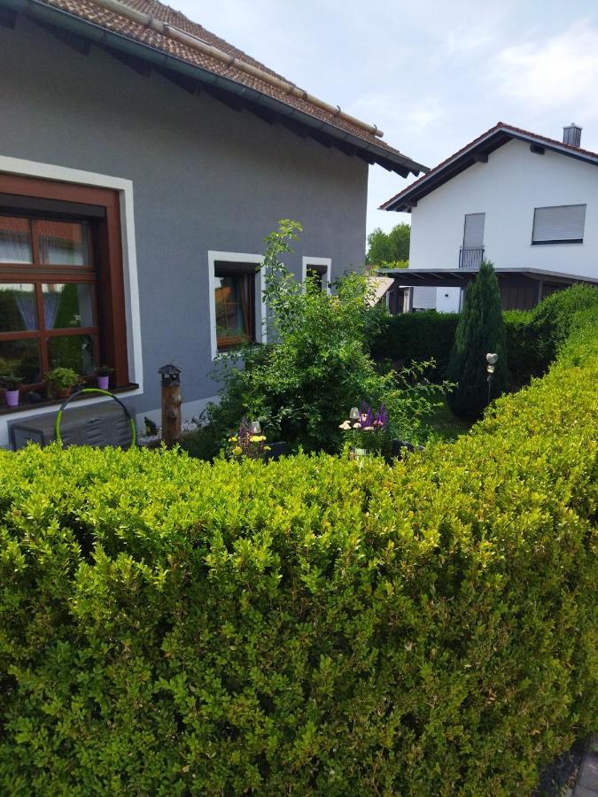 Aussergewoehnliche Atelierferienwohnung Mit Balkon An Der Donau Apartment *