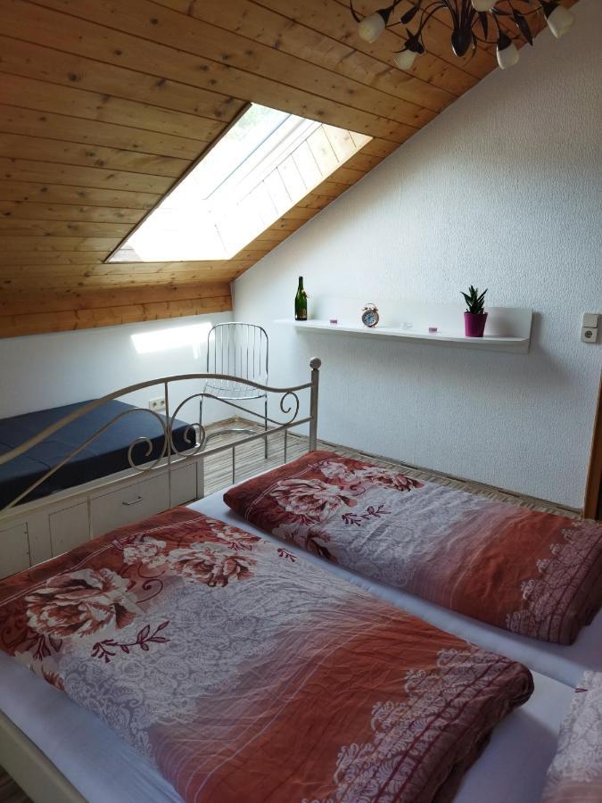 Apartment Aussergewoehnliche Atelierferienwohnung Mit Balkon An Der Donau *