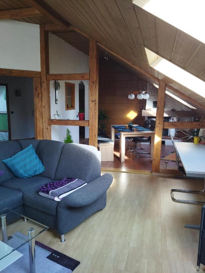Aussergewoehnliche Atelierferienwohnung Mit Balkon An Der Donau * Winzer