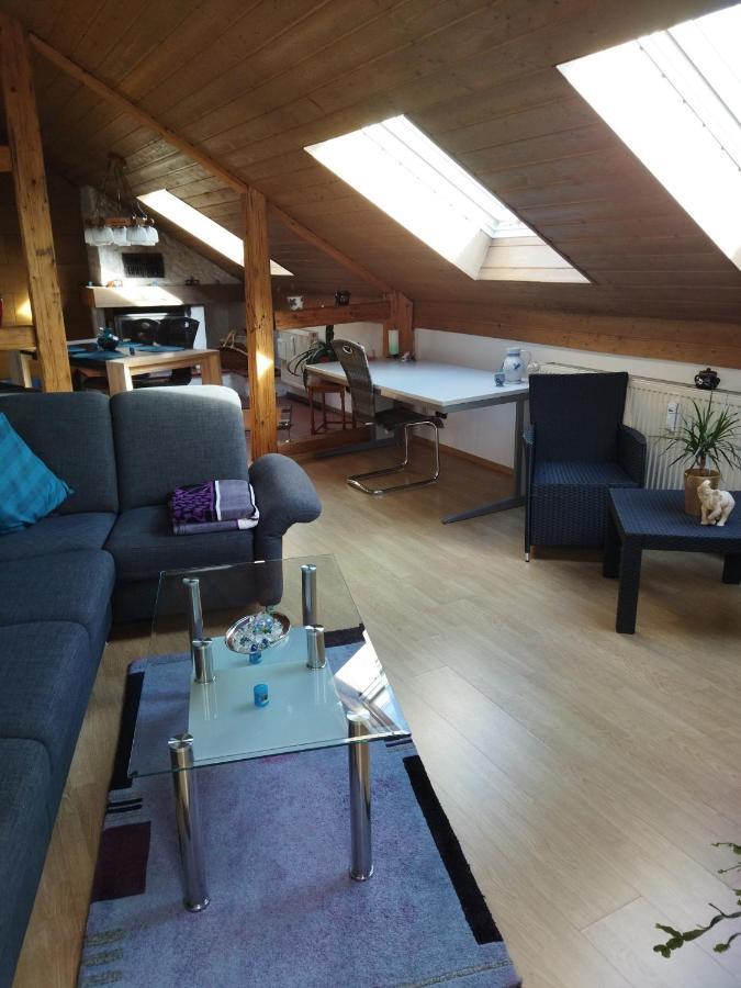 Apartment Aussergewoehnliche Atelierferienwohnung Mit Balkon An Der Donau *