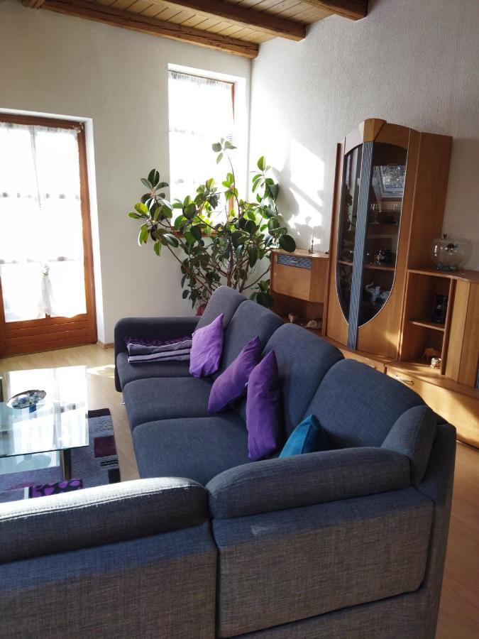 Aussergewoehnliche Atelierferienwohnung Mit Balkon An Der Donau * Winzer