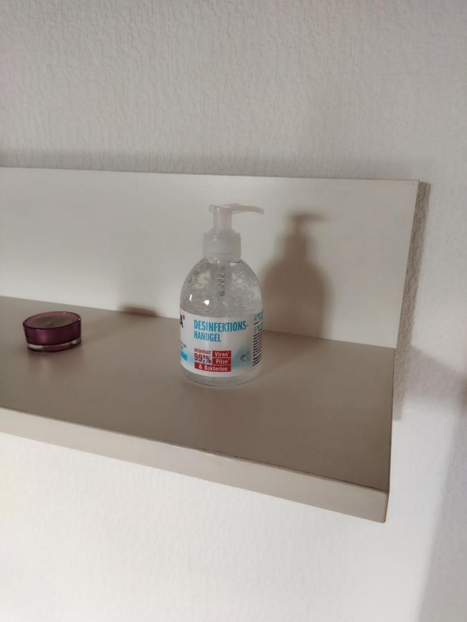 Apartment Aussergewoehnliche Atelierferienwohnung Mit Balkon An Der Donau *