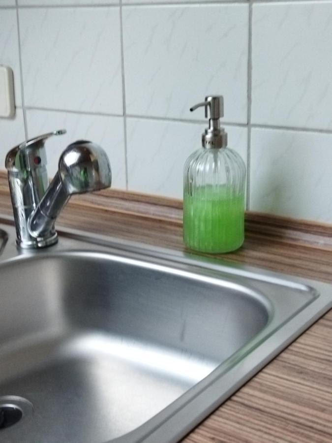 Apartment Aussergewoehnliche Atelierferienwohnung Mit Balkon An Der Donau Winzer