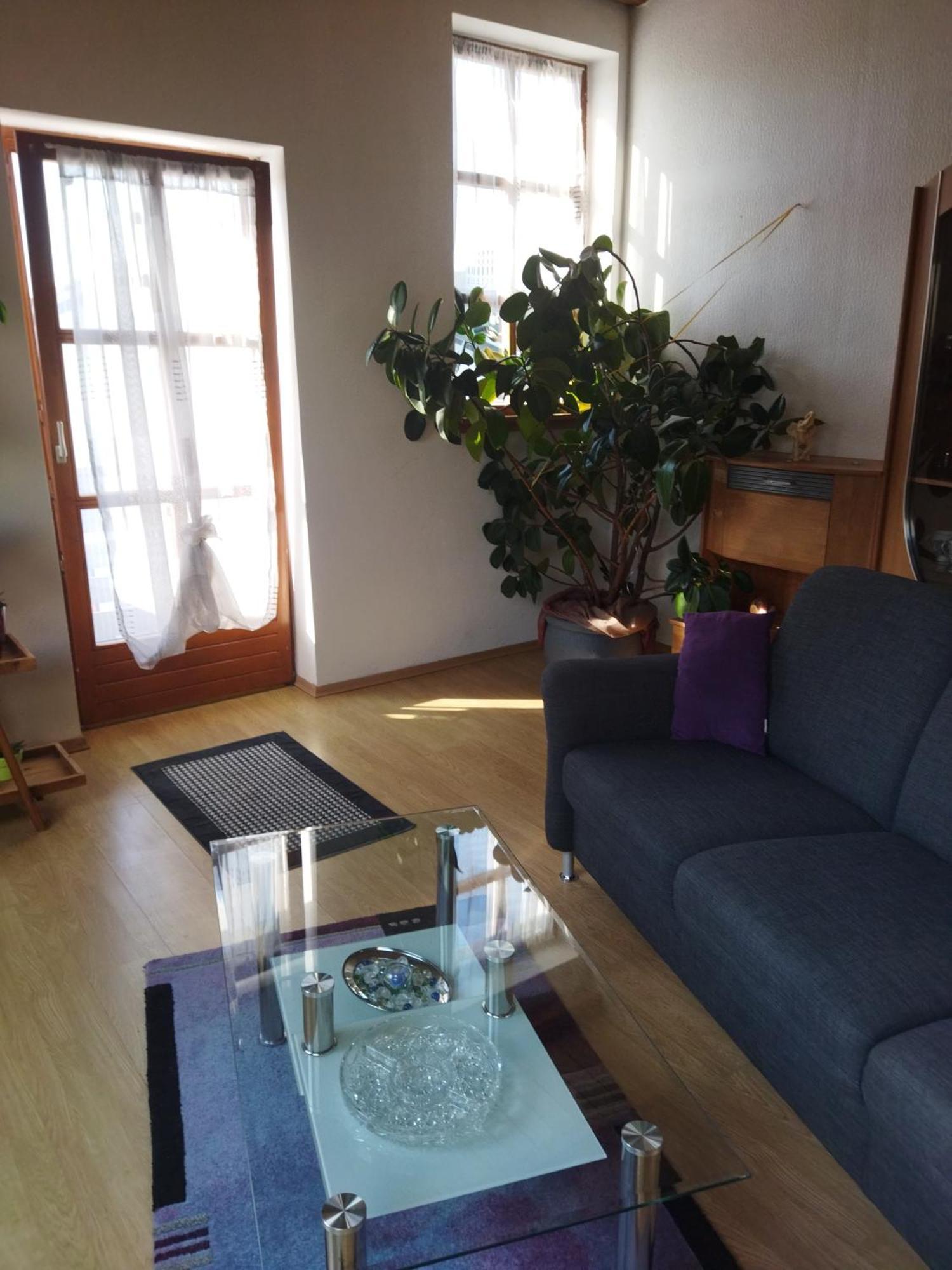 Aussergewoehnliche Atelierferienwohnung Mit Balkon An Der Donau Apartment